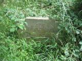 image of grave number 248541